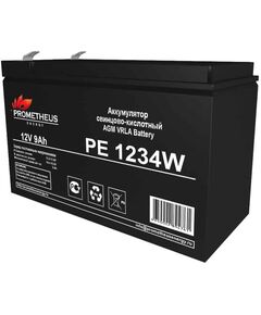 Купить Батарея для ИБП Prometheus Energy PE 1234 W 12В 9Ач в Иркутске в компании Зеон