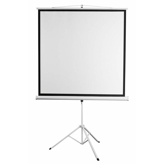 Экран на штативе Digis DSKD-1104 Kontur-D, формат 1:1, 96", 178x181, рабочая поверхность 172x172, MW фотографии