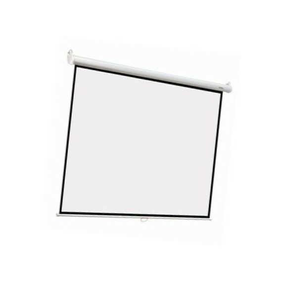 Экраны для проекторов: Экран Digis Optimal-B DSOB-4306 132", 4:3,  280x210см, Matte White фотографии