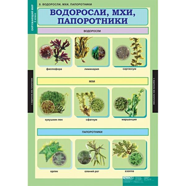 Купить Окружающий мир 3 класс, картинка № 8 в Иркутске в компании Зеон