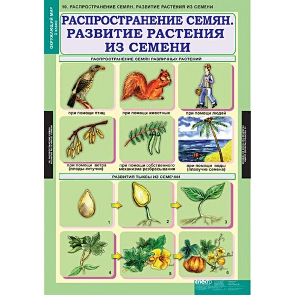 Купить Окружающий мир 3 класс, картинка № 10 в Иркутске в компании Зеон