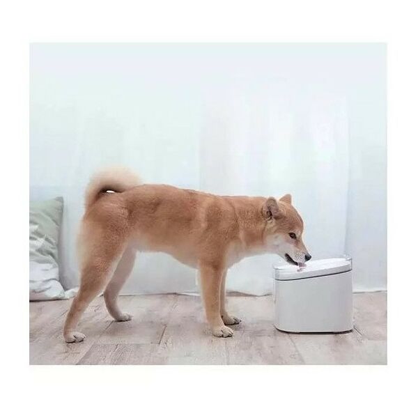 Умные устройства: Умная автоматическая поилка Xiaomi Smart Pet Fountain [BHR6161EU] фотографии